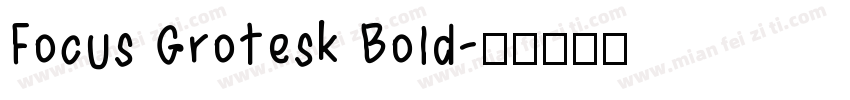 Focus Grotesk Bold字体转换